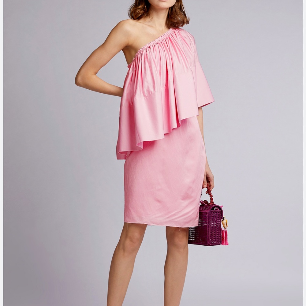 Solace London Layci One-shoulder Ruffled Pink Dress Size 4